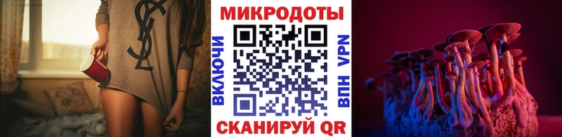 Галлюциногенные грибы прущие грибы  Купить  Карасук 